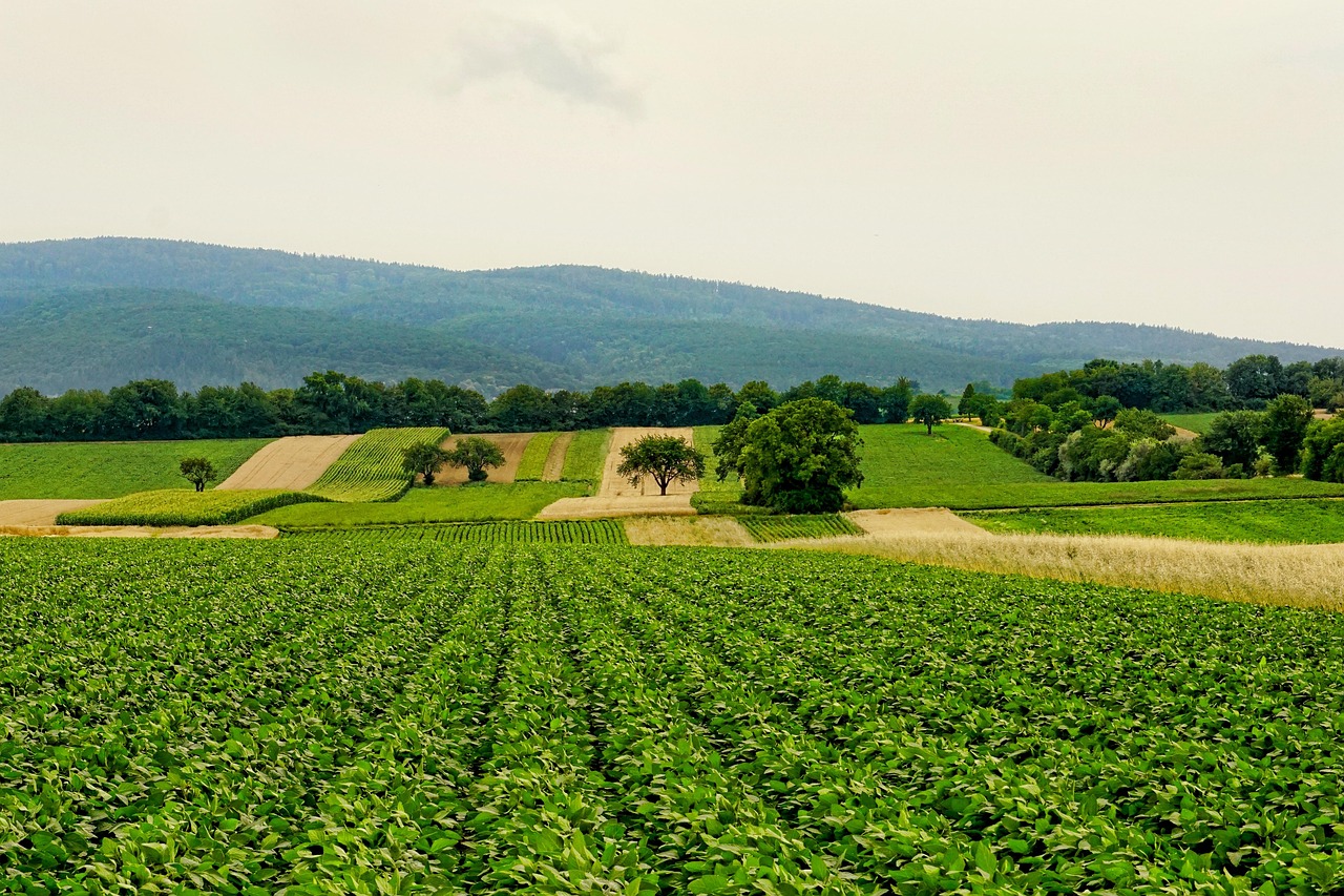 Programme agricole multi-pays